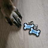 Hochwertiger Hundeanhänger in 3 Farben